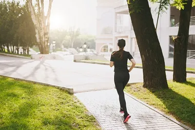 Jogging and walking tracks